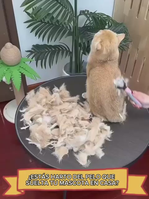 Cepillo Deslanador Premium para Mascotas